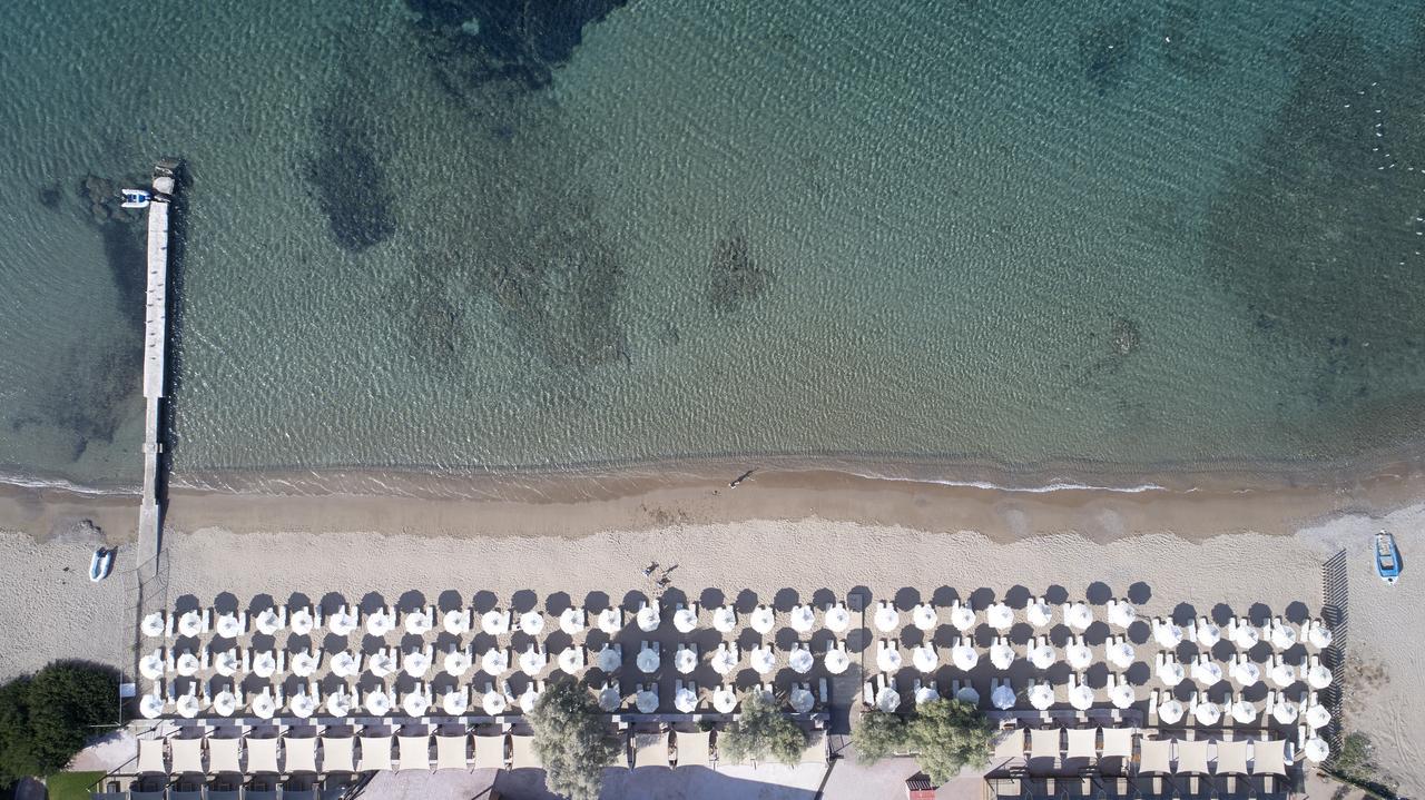 Aegeon Beach Hotel سونيو المظهر الخارجي الصورة
